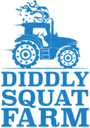 Diddly Squat logo
