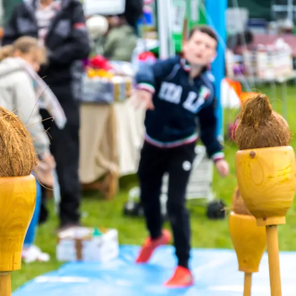 The Old Country Fair