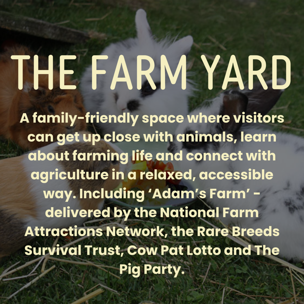 Explore - Farm Fest