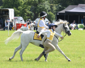 Pony club uk mounted games